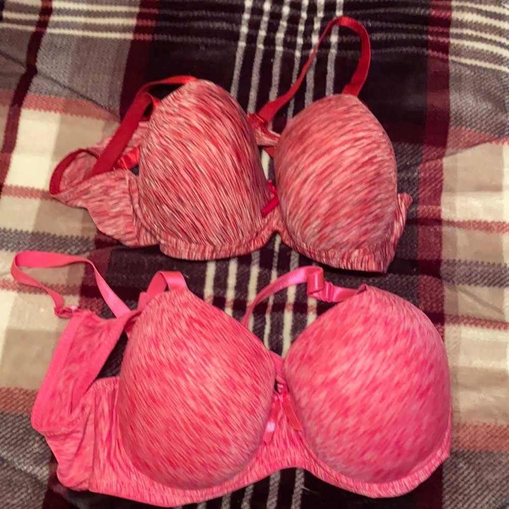 42C Bras